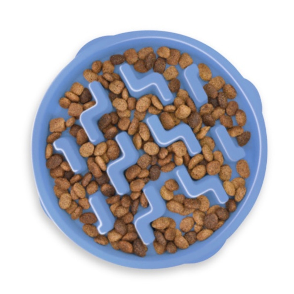 OUTWARD HOUND 🐾 Slow Feeder Dog Bowl